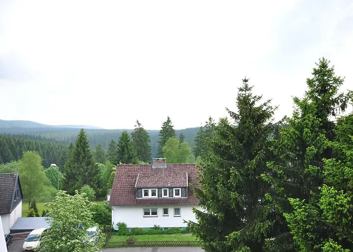 Fewo Altenau Апартаменты Альтенау